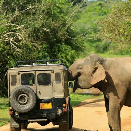 斯里兰卡8日7晚私家团