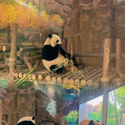 河南辉县+河南五龙山旅游区2日1晚自由行