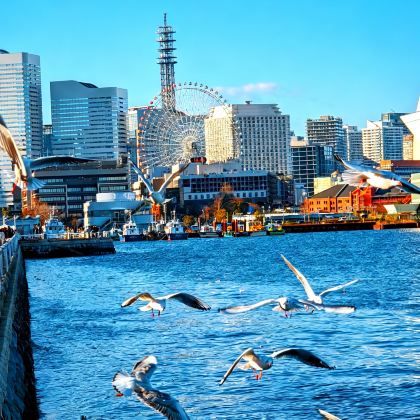 日本大阪+东京7日6晚私家团