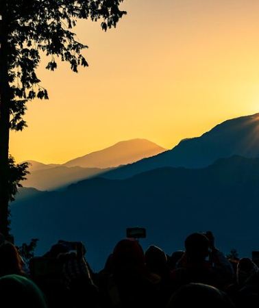 2D1N • Alishan 2Day Shared Tour from Taipei