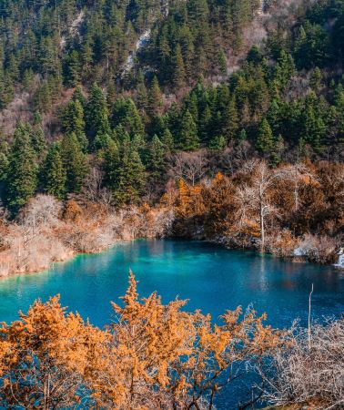 9D8N • Adjustable itinerary - From Chongqing to Chengdu: Panda & 4 UNESCO Wonders - Jiuzhaigou, Huanglong & Wulong, Fairy Mountain & Dujiangyan, Mt Qingcheng