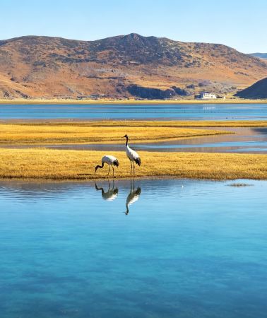 7D6N • Kunming + Dali + Lijiang: Complimentary tie-dye handicraft + afternoon tea – Stone Forest + Jiuxiang Caves + Dali Ancient Town + Lashihai Wetland Park + Yulong Snow Mountain + Blue Moon Valley