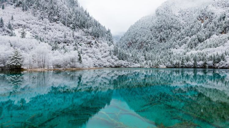 8-Day Autumn color tour with Hilton or equivalent hotel stay - Jiuzhaigou + Huanglong + Panda + Sanxingdui + Dujiangyan + Leshan Giant Buddha + Mt Emei · Contact customer service for adjustable itinerary