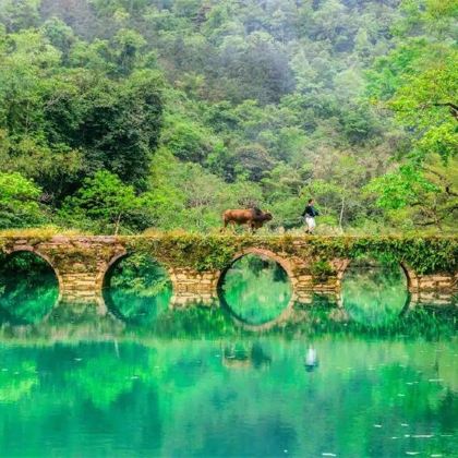 贵州贵阳甲秀楼+安顺黄果树瀑布+兴义马岭河峡谷+万峰林景区+荔波荔波小七孔景区+下司古镇+西江千户苗寨+镇远古城+梵净山+遵义会议会址8日7晚跟团游