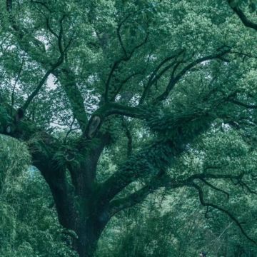 丽水+缙云仙都景区+云和梯田景区+古堰画乡旅游度假区3日2晚私家团