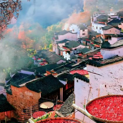 黄山+宏村景区+婺源3日2晚跟团游