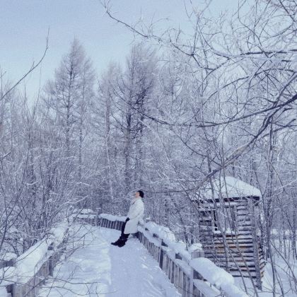 呼伦贝尔+阿尔山+阿尔山国家森林公园2日1晚跟团游