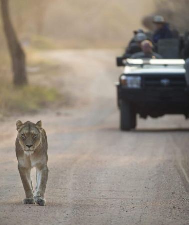 3D2N • Kruger National Park