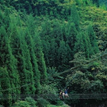 瓦屋山风景区+碧峰峡+成都4日3晚私家团