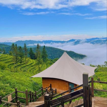 普洱+景迈山茶林文化景区4日3晚拼小团