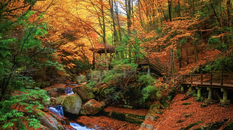 川西靠谱旅行社排名前十强（2025版）