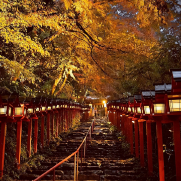 日本大阪+京都+奈良+岚山3日2晚拼小团