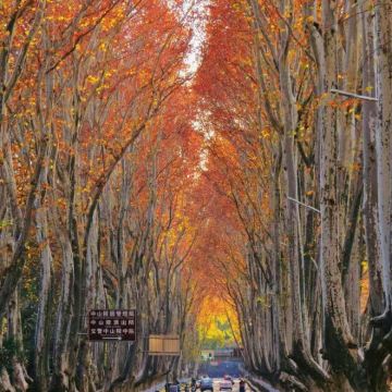 江苏南京2日1晚私家团