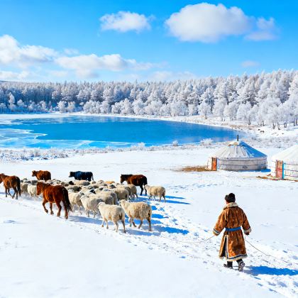 呼伦贝尔+满洲里+阿尔山6日5晚拼小团