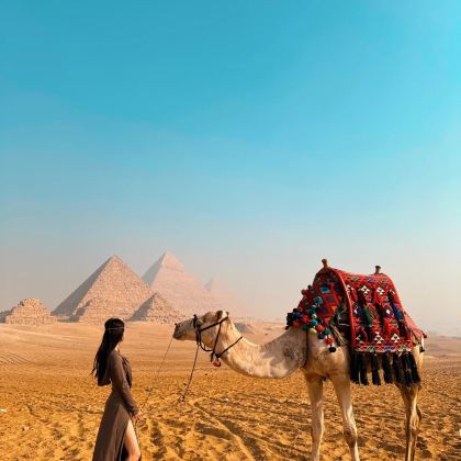 埃及开罗+亚历山大+马特鲁港+阿斯旺+卢克索+红海9日8晚跟团游