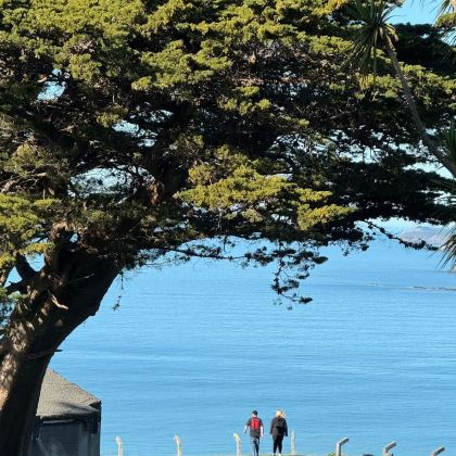 澳大利亚+新西兰12日10晚拼小团