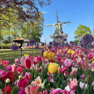 荷兰+比利时+卢森堡11日9晚跟团游