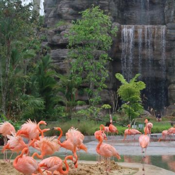 新加坡+新加坡环球影城+圣约翰岛8日7晚私家团