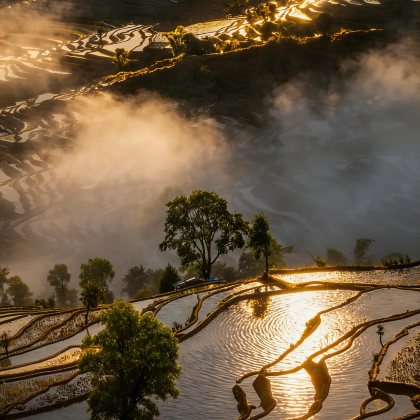 昆明+弥勒+普者黑景区+蒙自+元阳+建水+抚仙湖8日7晚拼小团