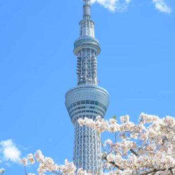 日本东京6日5晚私家团