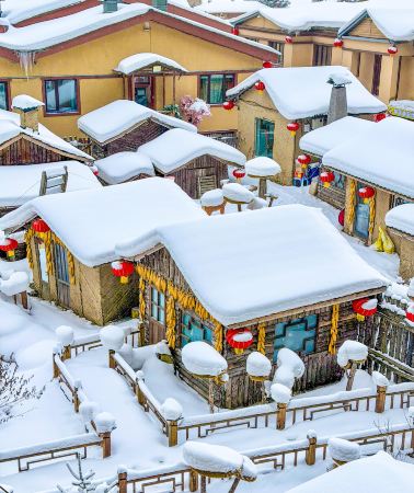 3日2晚 • 雪鄉國家森林公園＋亞布力滑雪 ｜含金牌導遊·零小費·零購物