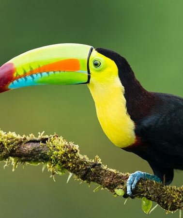 3D2N • 3 Days Jungle Camping Experience from Iquitos