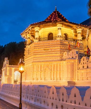 8D7N • Colombo to Galle: 2 to 11-Day Tour via Ella & South Coast