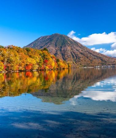 2D1N • From Tokyo/Yokohama: 2-Day Private Kamakura & Nikko Tour