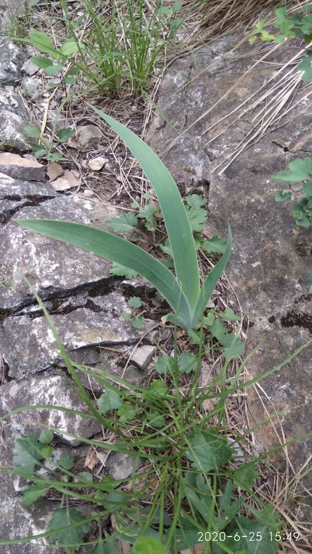 仙人峪(暂停开放)旅行图片 1