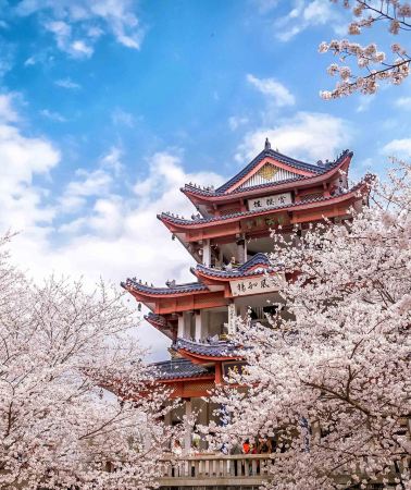 6天5晚 • 南京＋宜興＋無錫＋蘇州＋杭州＋上海：12 人小團出行，純玩無購物，宿國際品牌飯店，享當地特色餐食