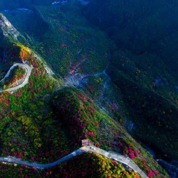 奉节+白帝城·瞿塘峡景区+巫溪2日1晚拼小团