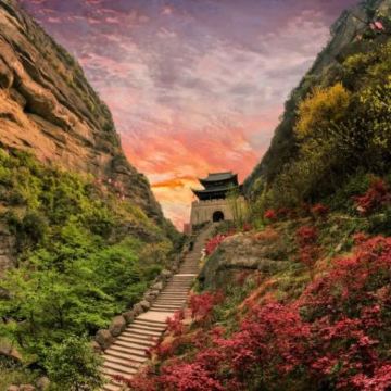 阆中+广元5日4晚拼小团