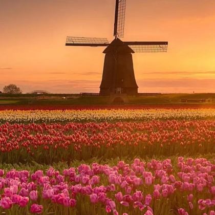 荷兰+比利时+法国10日私家团