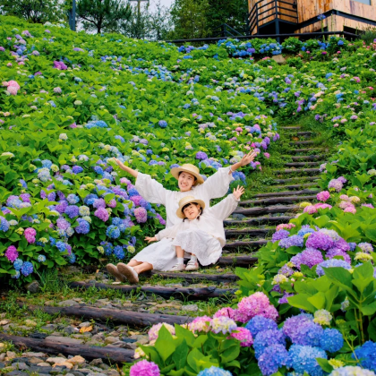 云南大理市+丽江+香格里拉6日5晚私家团