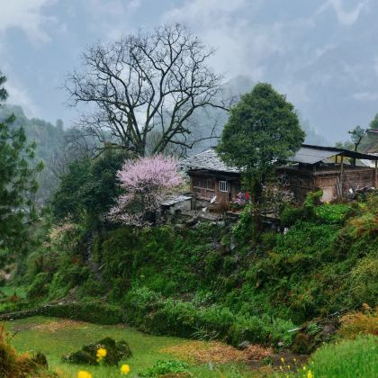 大理市+怒江+贡山+腾冲8日7晚拼小团