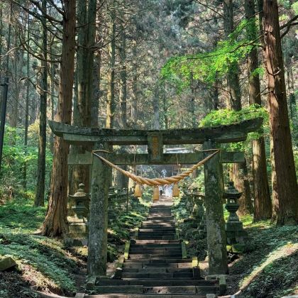 日本东京+大阪+京都+福冈9日8晚跟团游