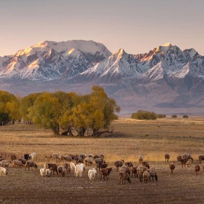 新疆南疆+塔塔秘境-罗布湖风景游览区+塔里木胡杨林公园+天山托木尔大峡谷+喀什古城8日7晚私家团
