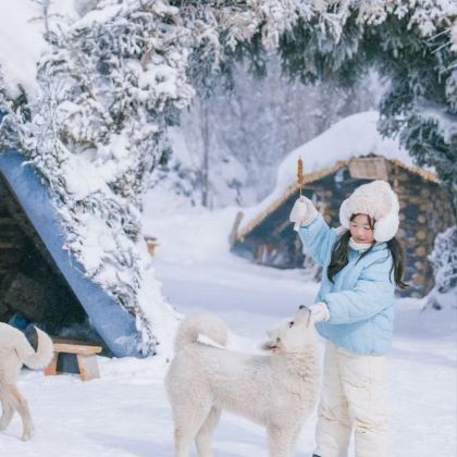 沈阳+长春+长白山+哈尔滨7日6晚跟团游