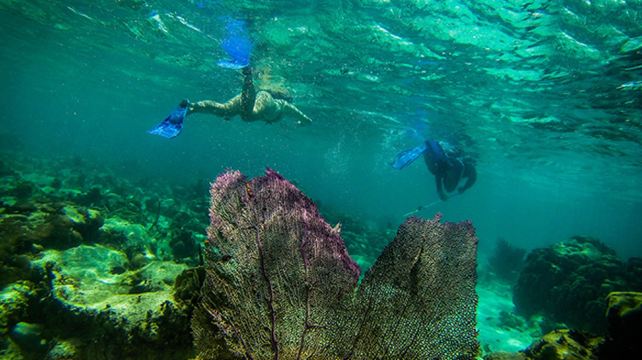 22-Day Mayan Adventure Tour from Playa del Carmen·Mexico, Belize, Guatemala, Palenque, Antigua, Flores | Max 16 Guests