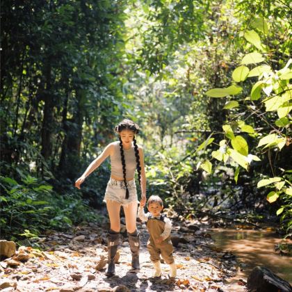 云南西双版纳+普洱7日6晚私家团