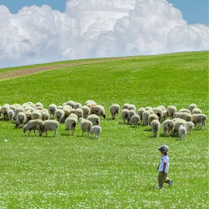 呼和浩特+希拉穆仁草原+响沙湾5日4晚拼小团