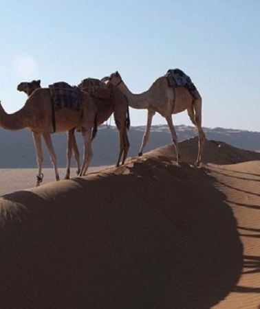 5D4N • 5 Days Package TOUR DINA