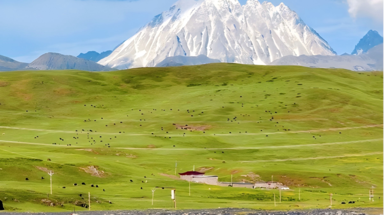 5-day 4-night · Private Tour · Daocheng Yading + Mount Siguniang + Yuzixi