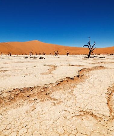 5D4N • 5 days Sossusvlei, Swakopmund and Spitzkoppe Camping