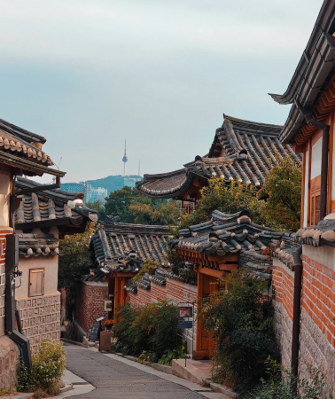 6D5N • South Korea is a great travel destination, Alpaca Park · Nami Island Lotte World