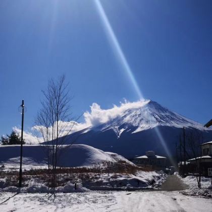 日本东京+富士山+高山村+京都+大阪6日跟团游