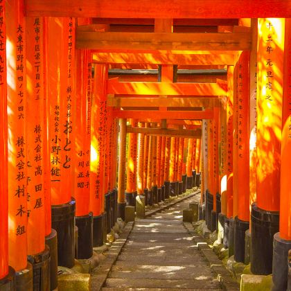 日本东京+富士山+大阪+京都+奈良8日7晚拼小团