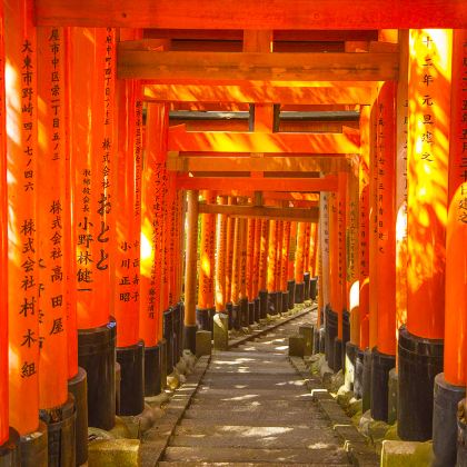 日本东京+富士山+大阪+京都+奈良市8日7晚拼小团