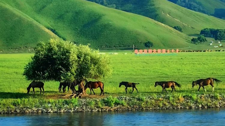 3D2N · Private Tours · China + Guiyang  + Xijiang Qianhu Miao Village + Mount Fanjin