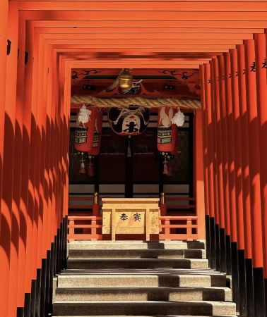 5D4N • Year Round Kansai Castle Tour: Castle Temple Shopping Experience + Kobe Osaka City Hotel Stay + Himeji Castle + Nara Park Landmarks + Momijidani Garden Season Highlight